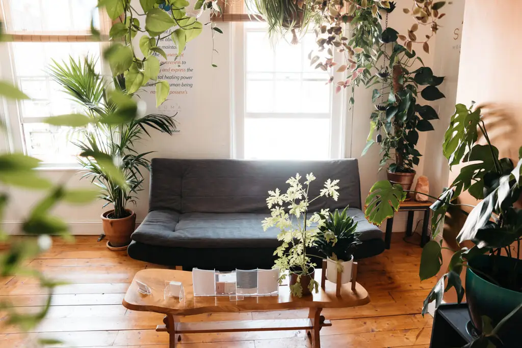 Waiting area with a grey sofa, wooden coffee table and indoor plants.